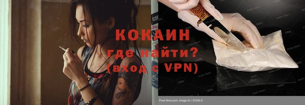 шишки Армянск