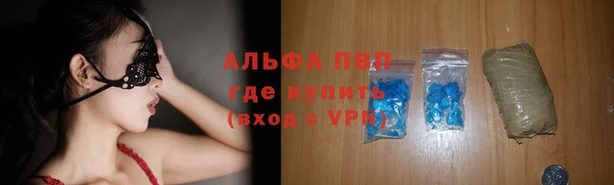 шишки Армянск