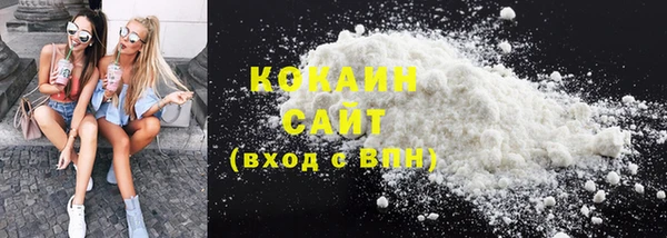 шишки Армянск