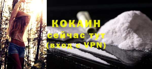 шишки Армянск