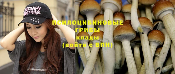 шишки Армянск