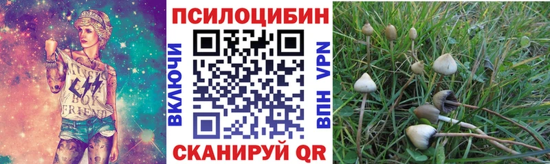 Псилоцибиновые грибы GOLDEN TEACHER  цена наркотик  Холм 